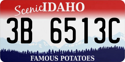 ID license plate 3B6513C