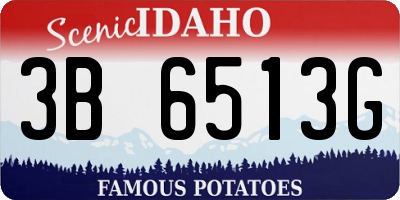 ID license plate 3B6513G