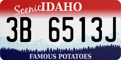 ID license plate 3B6513J