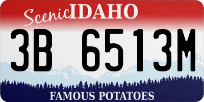 ID license plate 3B6513M