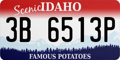 ID license plate 3B6513P