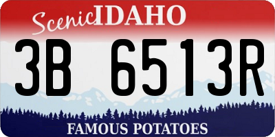 ID license plate 3B6513R
