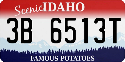 ID license plate 3B6513T