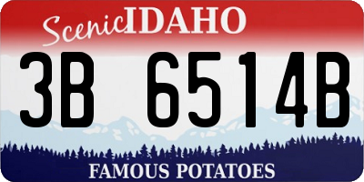 ID license plate 3B6514B