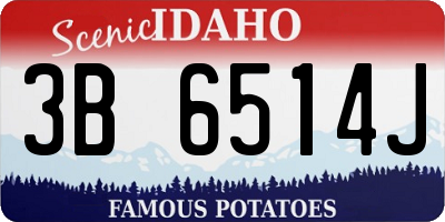 ID license plate 3B6514J