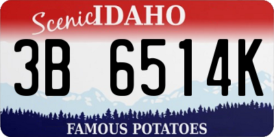 ID license plate 3B6514K