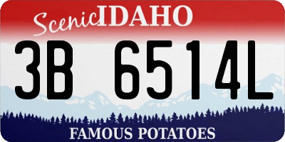 ID license plate 3B6514L