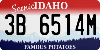 ID license plate 3B6514M