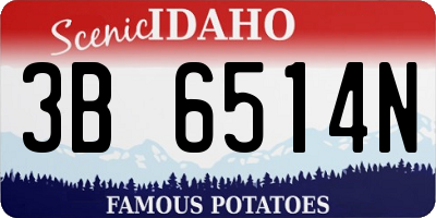 ID license plate 3B6514N