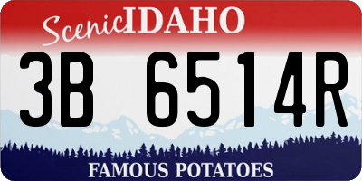 ID license plate 3B6514R