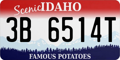 ID license plate 3B6514T