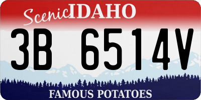 ID license plate 3B6514V