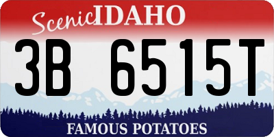 ID license plate 3B6515T