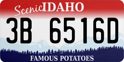 ID license plate 3B6516D