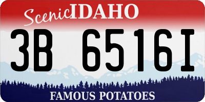 ID license plate 3B6516I