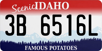 ID license plate 3B6516L