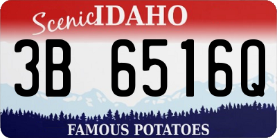 ID license plate 3B6516Q