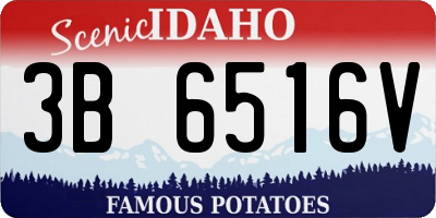 ID license plate 3B6516V