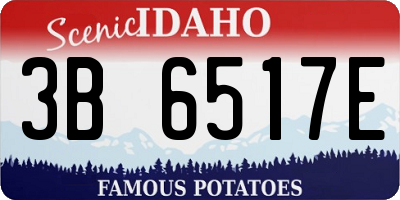 ID license plate 3B6517E