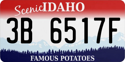 ID license plate 3B6517F