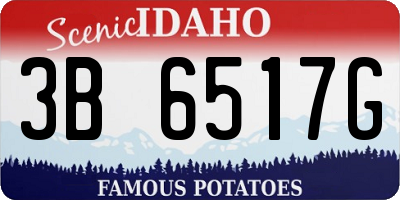 ID license plate 3B6517G