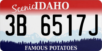 ID license plate 3B6517J