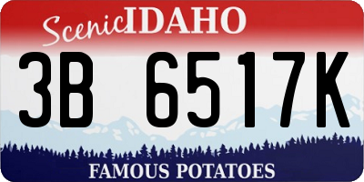 ID license plate 3B6517K