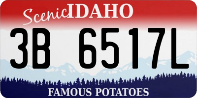 ID license plate 3B6517L
