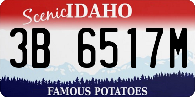 ID license plate 3B6517M
