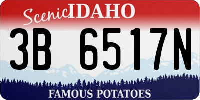 ID license plate 3B6517N