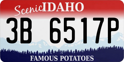 ID license plate 3B6517P