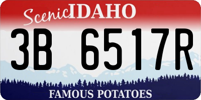 ID license plate 3B6517R