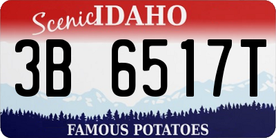 ID license plate 3B6517T