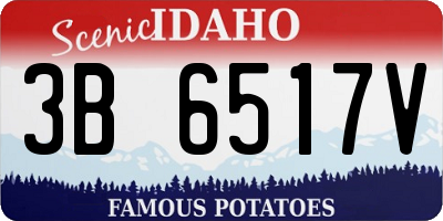 ID license plate 3B6517V