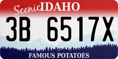 ID license plate 3B6517X
