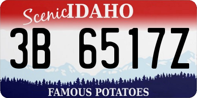 ID license plate 3B6517Z