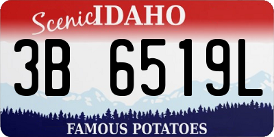 ID license plate 3B6519L