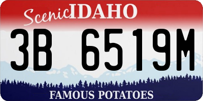 ID license plate 3B6519M
