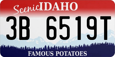 ID license plate 3B6519T