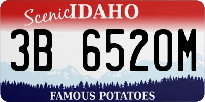 ID license plate 3B6520M