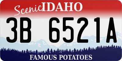ID license plate 3B6521A