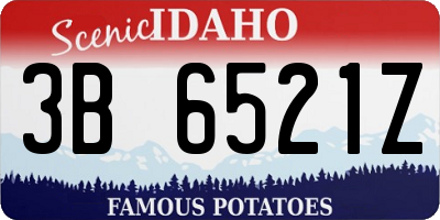 ID license plate 3B6521Z