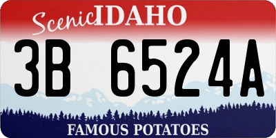 ID license plate 3B6524A