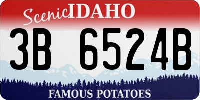 ID license plate 3B6524B