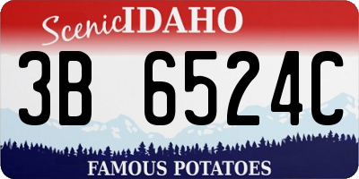 ID license plate 3B6524C