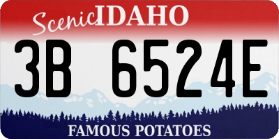 ID license plate 3B6524E