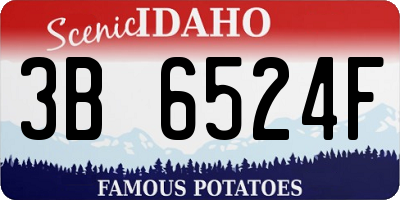 ID license plate 3B6524F