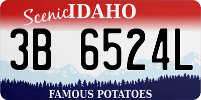 ID license plate 3B6524L