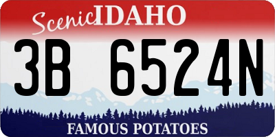 ID license plate 3B6524N