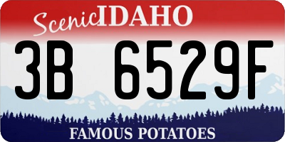 ID license plate 3B6529F